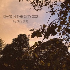 Days In The City 002