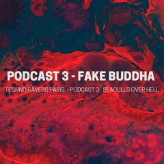 Podcast 3 - Fake Buddha - Seagulls Over Hell