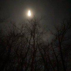 +noon+ AmgsOverScats [741Hz]