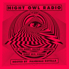 Night Owl Radio 241 ft. Sultan + Shepard and Kidnap