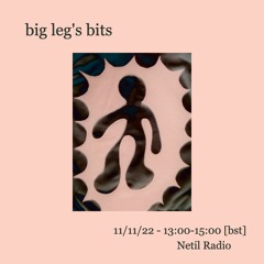 Big Leg's Bits (11.11.22)