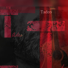 The Storm in The Kitchen