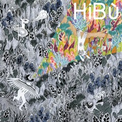 Hibù -  Conciencia