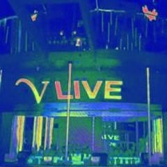 summrs - vlive (p. gianni) (slowed+reverb)