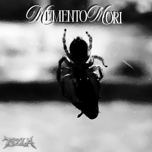 Stream MEMENTO MORI - T3ZLA DJ SET by T3ZLA | Listen online for