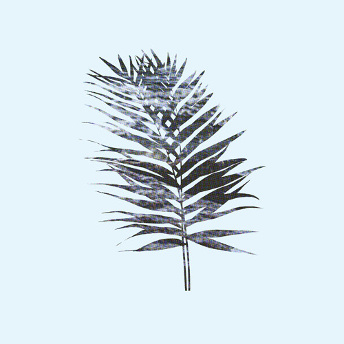 Fear Flew Away in Little Pieces of Light