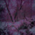 Artwork for company (prod. discent)