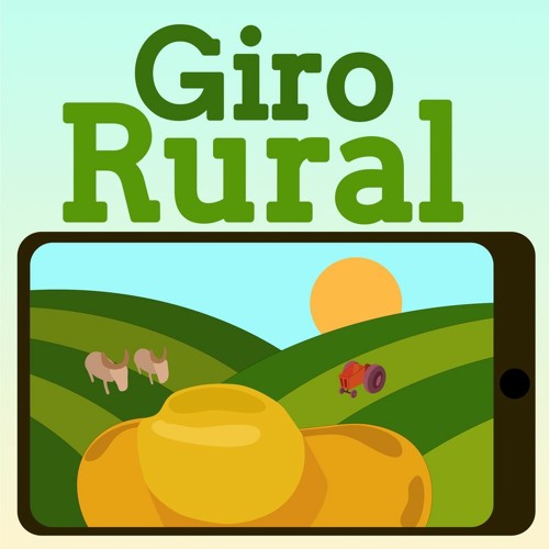 Giro Rural: preço da mandioca sobe e boi gordo fica mais barato