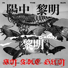 [Swine Premiere] IN THE SUN - Insecurity (Chinabot)