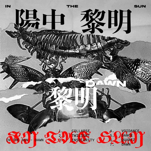 [Swine Premiere] IN THE SUN - Insecurity (Chinabot)