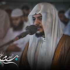 سورة فصلت  1444 هـ | هيثم الدخين