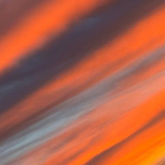 Franchise ft TheRuggedFigure Prod.BIGDAWG