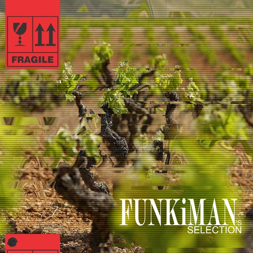 FUNKiMAN's SELECTION 0112 - NAOMI Guest Mix