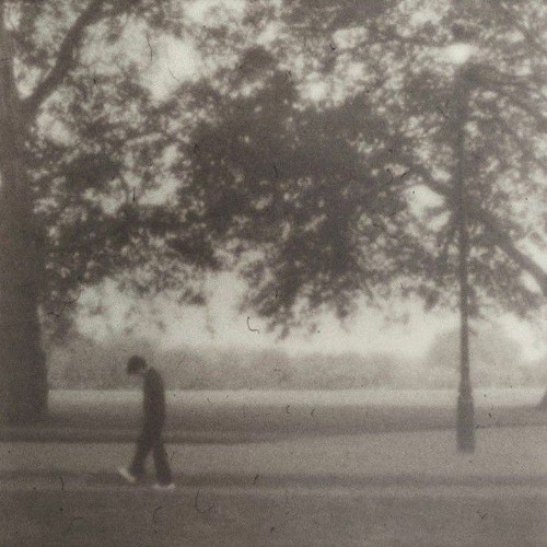 يا سائلي عن ما بقلبي من هوى _بدون موسيقى