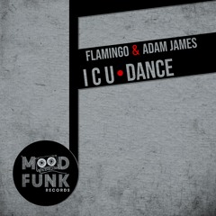 Flamingo & Adam James - I C U DANCE // MFR277