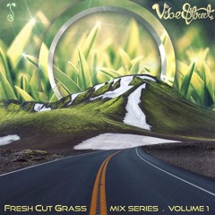FRESH CUT GRASS MIX SERIES (2016)