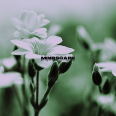 mindscape