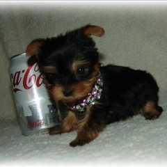 Cherrelle - Saturday Love (Thiti Remix)