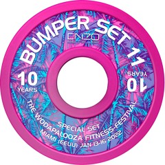 Bumper Set 11