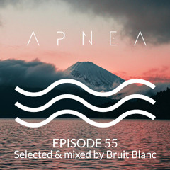 Episode 55 - Selected & Mixed by Bruit Blanc