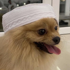 ‎⁨يادنيا يا غرابه