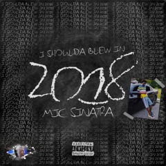 Mic Sinatra & SavageBandzz- Nice Demonstration