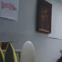 14.07.2022 - Microwave - Dogs days