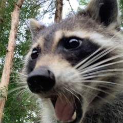 courtney 3 ft. m0rgue (prod. inhuman ocean)