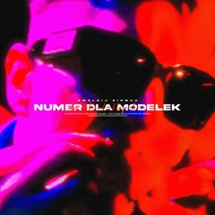 YOUNG IGI - NUMER DLA MODELEK (VIXA)