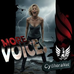 MORE VOICES