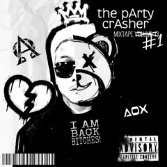 The Party Crasher 1