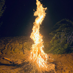 Fragile Dreams (Jam Version)