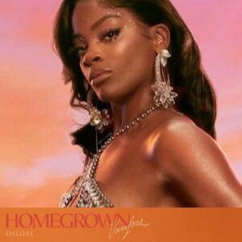 Ari Lennox x VanJess - Waste My Time x Feelz Right (Mashup Remix)