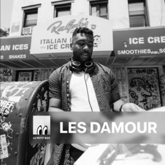 Vinyl Deep House Mix // Les Damour //  Le Petit Box Radio 035