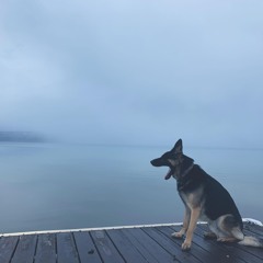 01 Echoes In The Clouds