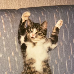 Mor Kerstinsväg 6770.m4a