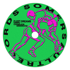 Somersault 189 (Fleet.Dreams) “Chameleon Greenroom”