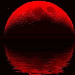 xinkarmic Por La Noche 222