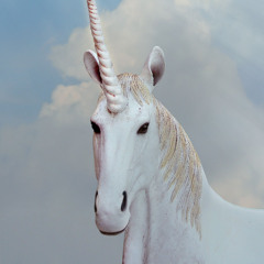 Unicorn (prod.arctic)
