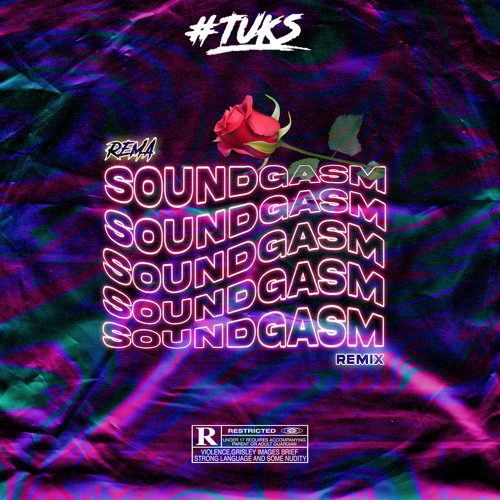 Rema-Soundgasm(Tuks Remix)