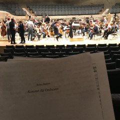 Concert for Orchestra_Short version (2023)