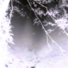 AR1ES