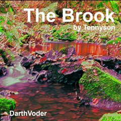 The Brook
