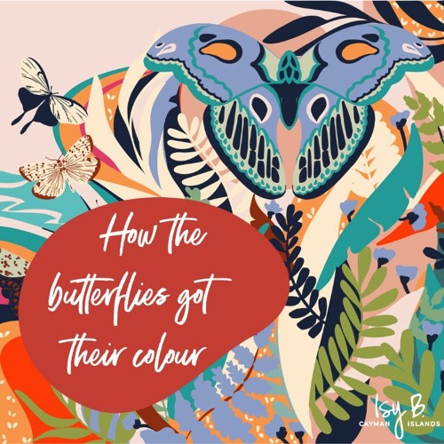 How The Butterflies Got their Colour