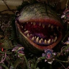 Audrey II Eats You And Digests you [vore audio]