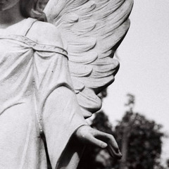 Contrition