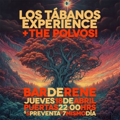 Los Tábanos Experience