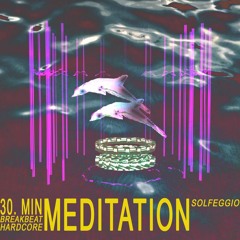 30 Min. BREAKBEAT HARDCORE SOLFEGGIO MEDITATION_Chakra Cleanse