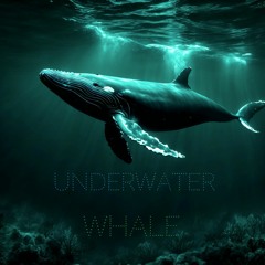 Underwater (Whale)