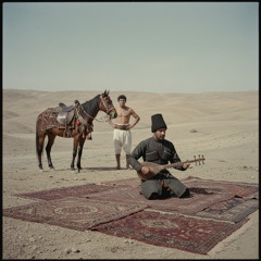 Colour of Pomegranate